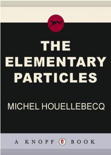 The Elementary Particles The Elementary Particles