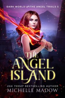 The Angel Island (Dark World: The Angel Trials Book 5) The Angel Island (Dark World: The Angel Trials Book 5)