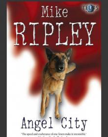 Angel City Angel City