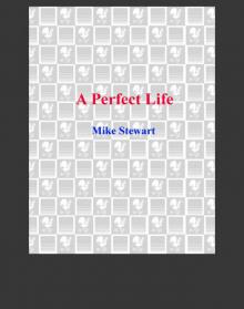 A Perfect Life