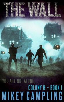 The Wall (Colony B Book 1)