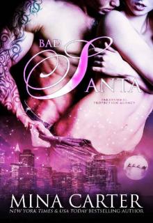 Bad Santa (Paranormal Christmas elves Romance) (Paranormal Protection Agency Book 13)