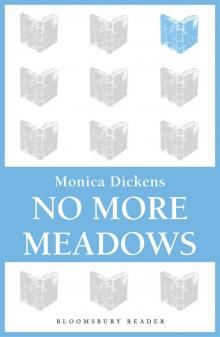 No More Meadows No More Meadows
