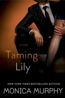Taming Lily Taming Lily