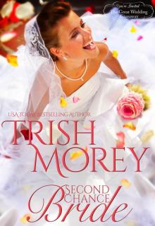 Second Chance Bride (Montana Born Brides)