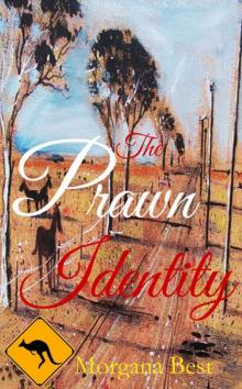 The Prawn Identity (Australian Amateur Sleuth Book 4)