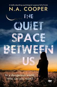 The Quiet Space Between Us The Quiet Space Between Us