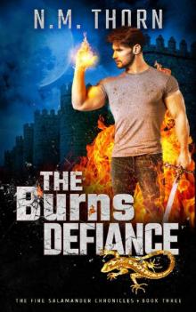 The Burns Defiance The Burns Defiance