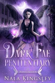Dark Fae Penitentiary: First Transgression Dark Fae Penitentiary: First Transgression