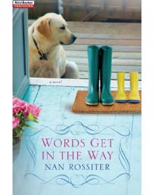 Words Get In the Way Words Get In the Way