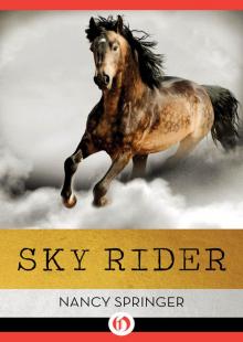 Sky Rider Sky Rider