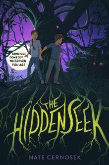 The Hiddenseek The Hiddenseek