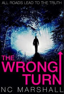 The Wrong Turn The Wrong Turn