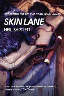 Skin Lane Skin Lane