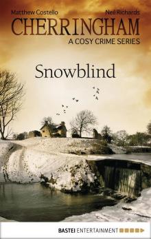 Cherringham--Snowblind