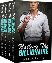 Nailing The Billionaire - The Complete Series