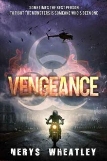 Twenty-Five Percent (Book 3): Vengeance