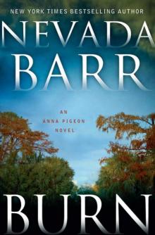Burn: An Anna Pigeon Novel (Anna Pigeon Mysteries)