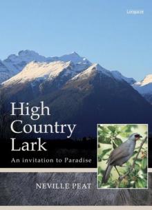 High Country Lark High Country Lark