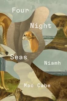 Four Night Seas