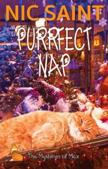 Purrfect Nap