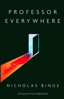 Professor Everywhere (Proverse Prize Publications)