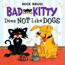 Bad Kitty Does Not Like Dogs