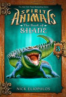 The Book of Shane 3