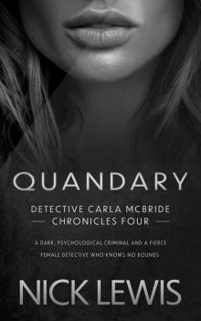 Quandary: A Detective Series