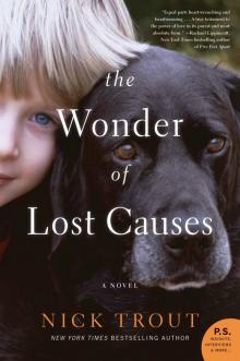 The Wonder of Lost Causes The Wonder of Lost Causes