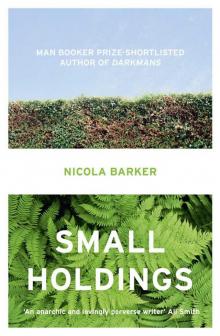 Small Holdings Small Holdings