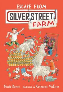 Escape from Silver Street Farm Escape from Silver Street Farm