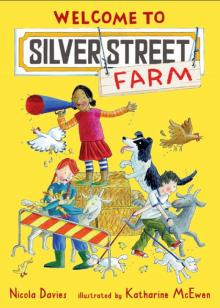 Welcome to Silver Street Farm Welcome to Silver Street Farm