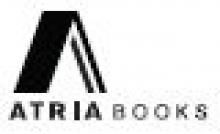 The Art Thief: A Novel