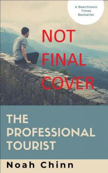 The Professional Tourist