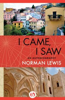 I Came, I Saw I Came, I Saw