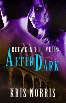 After Dark (Between the Veils Series, Book One) After Dark (Between the Veils Series, Book One)