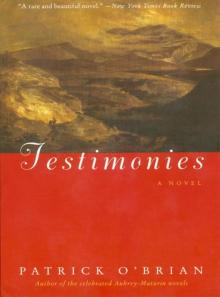 Testimonies: A Novel Testimonies: A Novel