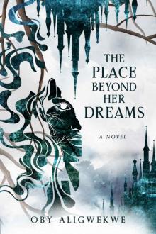 The Place Beyond Her Dreams The Place Beyond Her Dreams