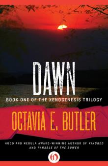 Dawn Dawn