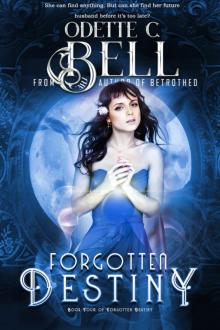 Forgotten Destiny Book Four Forgotten Destiny Book Four