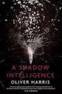 A Shadow Intelligence A Shadow Intelligence