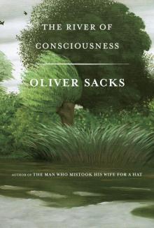 The River of Consciousness The River of Consciousness