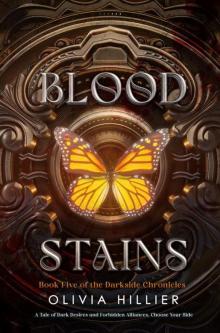 Blood Stains: Book Five of the Darkside Chronicles