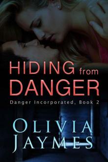 Hiding From Danger (Danger Incorporated Book 2)