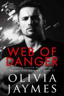 Web of Danger (Danger Incorporated Book 11)