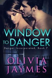 Window to Danger (Danger Incorporated Book 7) Window to Danger (Danger Incorporated Book 7)