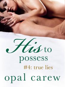 True Lies True Lies