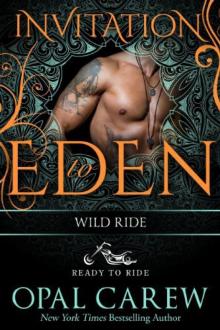 Wild_Ride Wild_Ride
