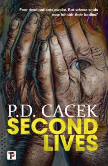 Second Lives Second Lives